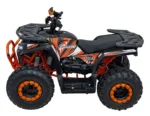 Štirikolesnik na bencin PRO RIDER 200cc - slika 7