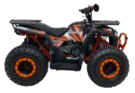 Štirikolesnik na bencin PRO RIDER 200cc - slika 11