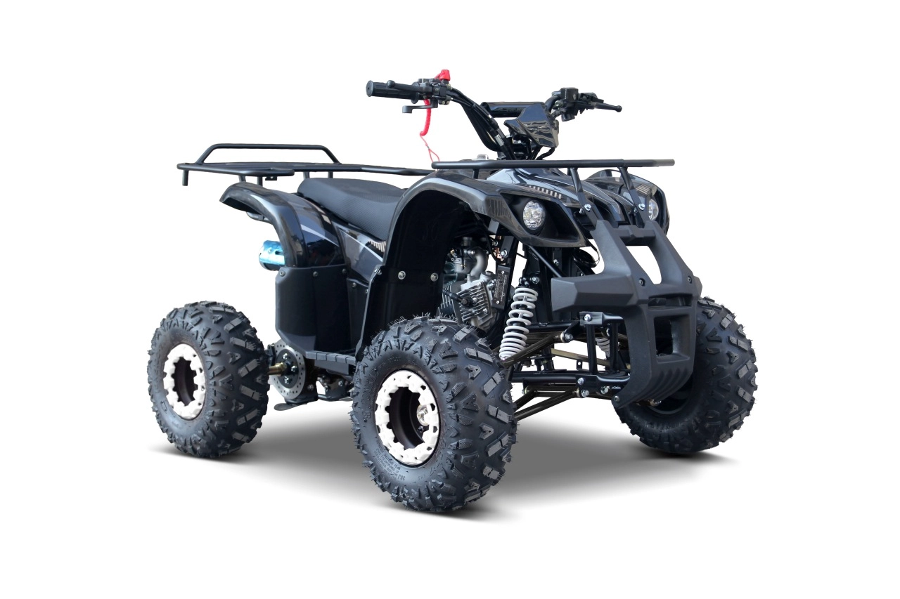 Otroški štirikolesnik na bencin WILDPEAK 110cc, črn 1 Otroški štirikolesnik na bencin WILDPEAK 110cc, črn - slika 1