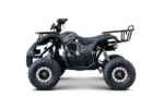 Otroški štirikolesnik na bencin WILDPEAK 110cc, črn - slika 4
