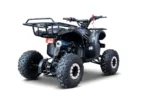 Otroški štirikolesnik na bencin WILDPEAK 110cc, črn - slika 9