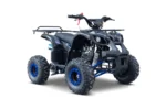Otroški štirikolesnik na bencin WILDPEAK 110cc, modra