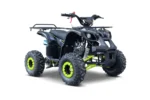Otroški štirikolesnik na bencin WILDPEAK 110cc, zelen